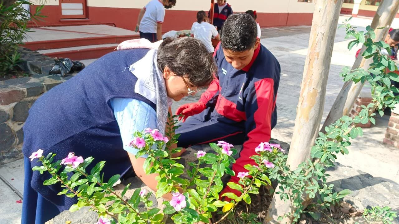 Trabajo en jardinería escolar